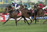 Three jockeys in colorful silks race on thoroughbreds sprinting on a grassy track, banners visible in the background.