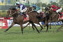 Three jockeys in colorful silks race on thoroughbreds sprinting on a grassy track, banners visible in the background.