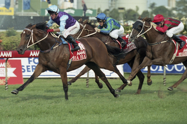 Three jockeys in colorful silks race on thoroughbreds sprinting on a grassy track, banners visible in the background.