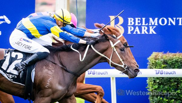 Jockeys in blue and yellow silks race a dark brown horse toward the finish at Belmont Park, blue banner in background