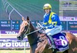 Jockey in blue and yellow silks rides a brown horse on a racecourse, scoreboard in the background.