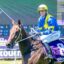 Jockey in blue and yellow silks rides a brown horse on a racecourse, scoreboard in the background.