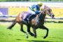 Jockey in blue and yellow silks riding a galloping brown racehorse on a sunny turf track, purple saddle cloth with the number 4 visible.