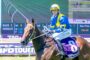 Jockey in blue and yellow silks rides a brown horse on a racecourse, scoreboard in the background.