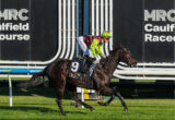 Jockey in neon green and maroon silks rides a dark horse at Caulfield Racecourse, with large MRC signage in the background.