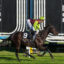 Jockey in neon green and maroon silks rides a dark horse at Caulfield Racecourse, with large MRC signage in the background.