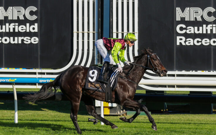Jockey in neon green and maroon silks rides a dark horse at Caulfield Racecourse, with large MRC signage in the background.