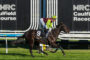 Jockey in neon green and maroon silks rides a dark horse at Caulfield Racecourse, with large MRC signage in the background.