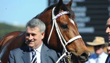 Man in a blue suit standing beside a brown horse wearing a white bridle at an outdoor event on a sunny day.