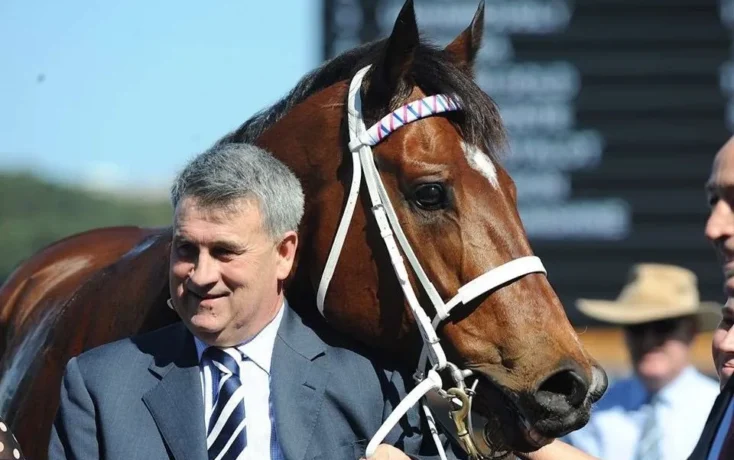 Man in a blue suit standing beside a brown horse wearing a white bridle at an outdoor event on a sunny day.