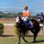 Jockey in orange and white silks riding a dark horse at a racetrack, with another rider in blue nearby and a blue sky above.