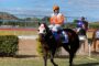 Jockey in orange and white silks riding a dark horse at a racetrack, with another rider in blue nearby and a blue sky above.