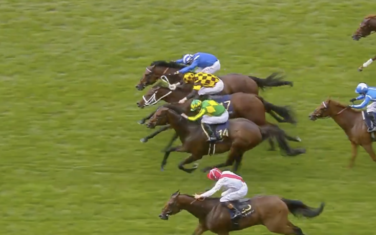 Horses and jockeys race on a green turf track, several in front with colorful silks, photo captures a sprint to the finish line