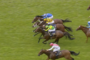 Horses and jockeys race on a green turf track, several in front with colorful silks, photo captures a sprint to the finish line