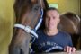 Man posing with a brown horse in a stable, horse wearing a blue and white halter, both facing the camera over a stall railing