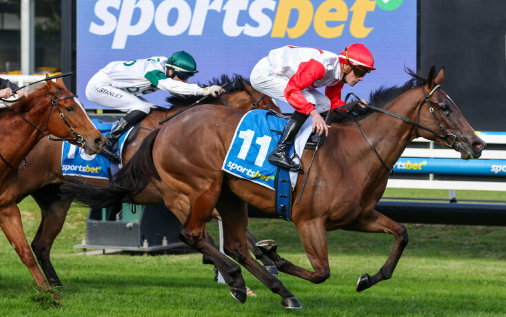 Three jockeys in colorful silks race side by side on galloping horses over a grassy turf track.
