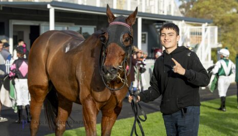 Young man in a black hoodie holds the reins of a brown horse wearing a black mask in a paddock with spectators in the background.
