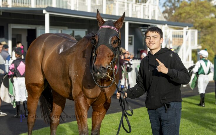 Young man in a black hoodie holds the reins of a brown horse wearing a black mask in a paddock with spectators in the background.