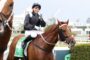 Smiling jockey in black-and-blue racing gear rides a chestnut horse on a city racecourse backdrop.