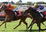 Two jockeys race side by side on a sunny turf track, noses almost touching as their horses surge forward, with Ladbrokes banners in the background.