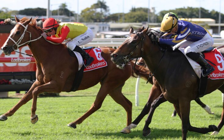 Two jockeys race side by side on a sunny turf track, noses almost touching as their horses surge forward, with Ladbrokes banners in the background.