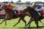 Two jockeys race side by side on a sunny turf track, noses almost touching as their horses surge forward, with Ladbrokes banners in the background.