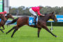 Jockey in red silks leans forward riding a dark bay horse with blue saddlecloth number 4 on a green turf racetrack.
