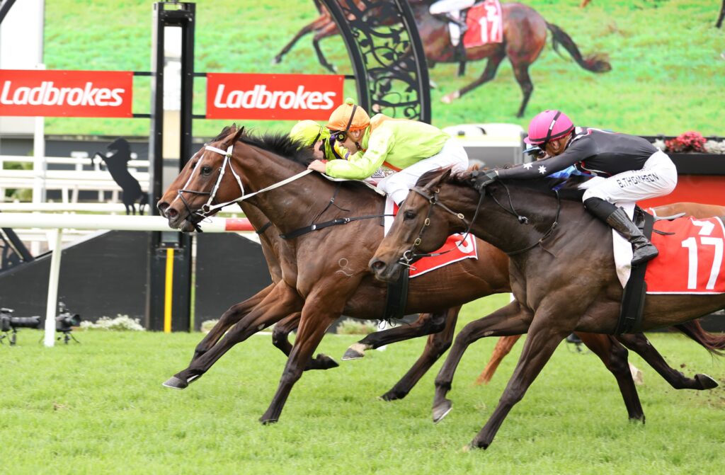 Horse race in progress with several jockeys in bright silks sprinting on a grassy track; red Ladbrokes banners in background.