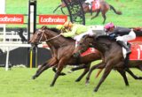 Horse race in progress with several jockeys in bright silks sprinting on a grassy track; red Ladbrokes banners in background.