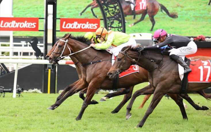 Horse race in progress with several jockeys in bright silks sprinting on a grassy track; red Ladbrokes banners in background.