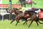 Horse race in progress with several jockeys in bright silks sprinting on a grassy track; red Ladbrokes banners in background.