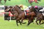 Several racehorses and jockeys sprint on a grassy track during a race, colorful silks fluttering as they run side by side.