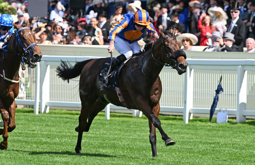 Mission Central | Just Horse Racing Jockey in orange and blue silks riding a dark horse during a race, crowd watching behind white rails in stadium-like stands.