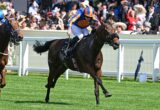 Jockey in orange and blue silks riding a dark horse during a race, crowd watching behind white rails in stadium-like stands.