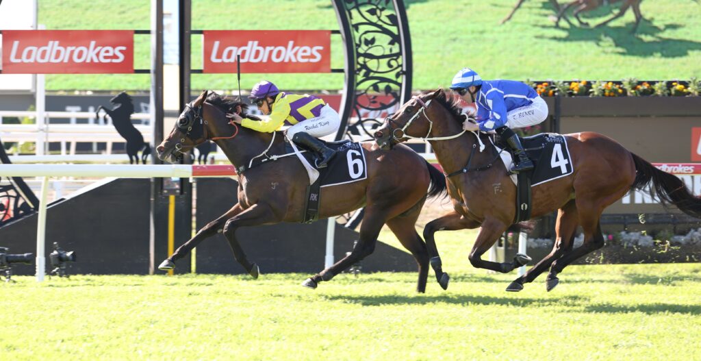 Monte Supreme | Just Horse Racing Two jockeys and their racehorses sprint along the track, wearing yellow and purple (number 6) and blue (number 4) silks, with Ladbrokes banners in background beneath a sunny sky.