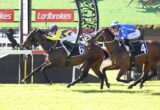 Two jockeys and their racehorses sprint along the track, wearing yellow and purple (number 6) and blue (number 4) silks, with Ladbrokes banners in background beneath a sunny sky.
