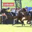 Two jockeys and their racehorses sprint along the track, wearing yellow and purple (number 6) and blue (number 4) silks, with Ladbrokes banners in background beneath a sunny sky.