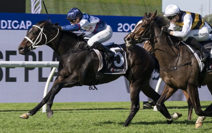 Two jockeys ride their racing horses side by side on a grass track during a race, with the lead horse pulling ahead.