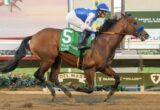Horse racing action: bay horse with green number-5 saddle cloth, jockey in blue-and-white silks riding on dirt track toward finish line in oval course.