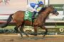 Horse racing action: bay horse with green number-5 saddle cloth, jockey in blue-and-white silks riding on dirt track toward finish line in oval course.