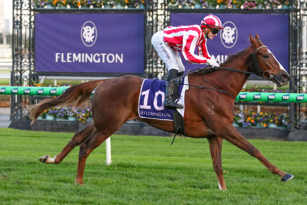 Jockey in red-and-white silks riding a brown horse during a race at Flemington, banner in background and green track ahead
