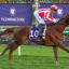 Jockey in red-and-white silks riding a brown horse during a race at Flemington, banner in background and green track ahead