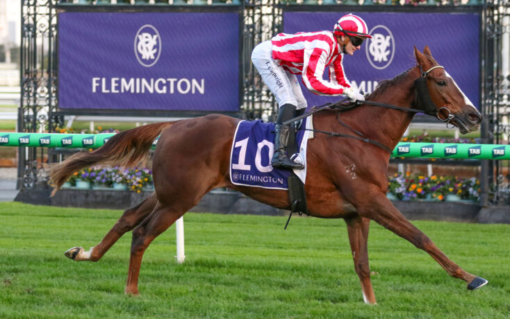 Jockey in red-and-white silks riding a brown horse during a race at Flemington, banner in background and green track ahead