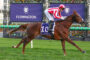 Jockey in red-and-white silks riding a brown horse during a race at Flemington, banner in background and green track ahead