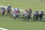 Jockeys and horses racing closely on a grass track with white railings, mid-race action under bright light.