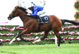 Jockey in blue silks rides a brown horse mid-jump over a hurdle, with pink flowers along the track in the foreground.