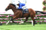 Jockey in blue silks rides a brown horse mid-jump over a hurdle, with pink flowers along the track in the foreground.