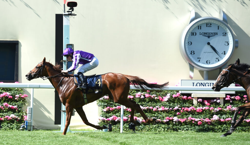 Jockey in purple silks riding a galloping horse during a race, clock tower visible in the background.
