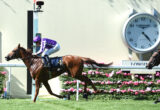 Jockey in purple silks riding a galloping horse during a race, clock tower visible in the background.