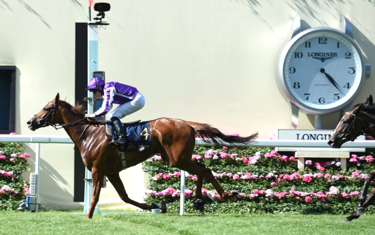 Jockey in purple silks riding a galloping horse during a race, clock tower visible in the background.